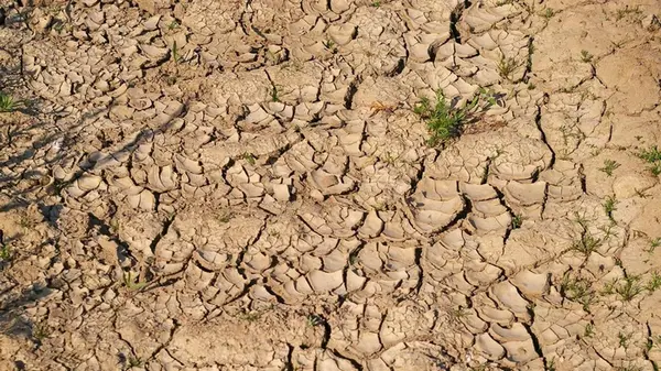 Не таяние ледников: ученые выяснили неожиданную причину повышения уровня моря