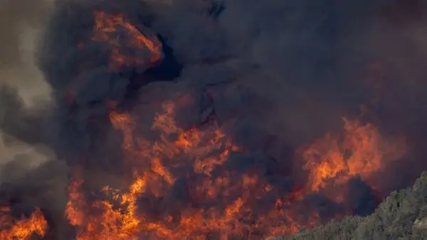 В Турции бушуют масштабные пожары: эвакуированы десятки сел, заблокированы трассы