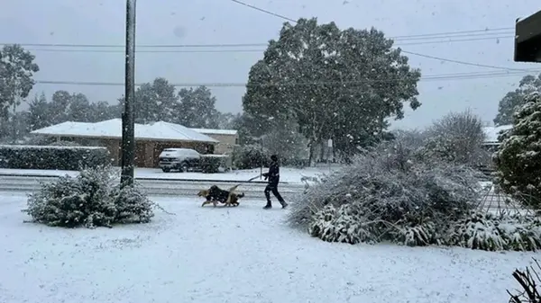 Снегопады парализовали восток Австралии