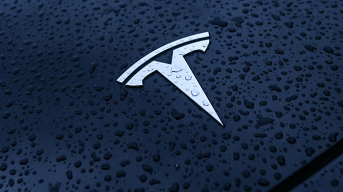 Tesla потеряла половину продаж в Великобритании и Германии