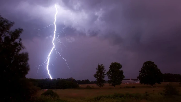В какие деревья чаще всего попадает молния, — исследование