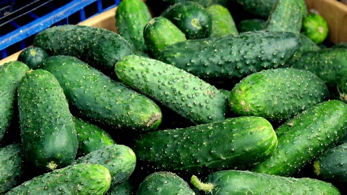 В Украине на четверть подешевел популярный овощ: какие причины