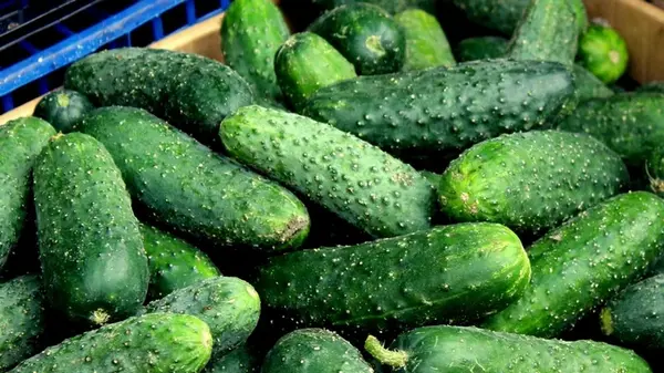 В Украине на четверть подешевел популярный овощ: какие причины