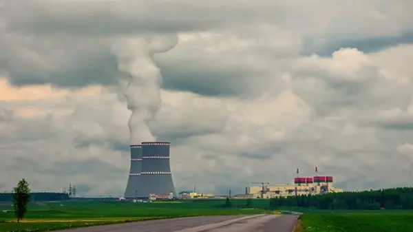 Французскую АЭС остановили из-за нашествия медуз