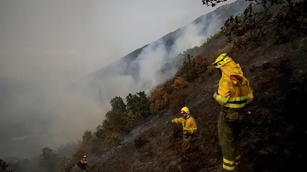 В Испании из-за пожаров выгорела площадь размером, как остров Майорка