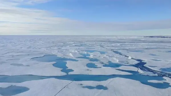 Скорость таяния арктических морских льдов удивила ученых: что изменилось за последние 20 лет