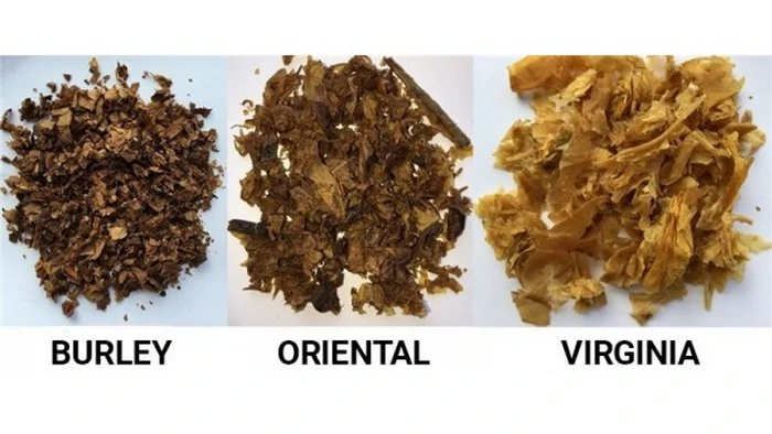 сорта табака