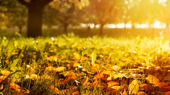 Жара, местами грозы: синоптики о погоде в начале сентября