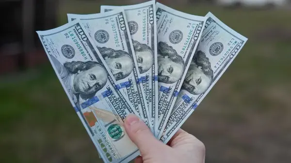 Сколько будут стоить 100 долларов в Украине: прогноз на первую неделю сентября