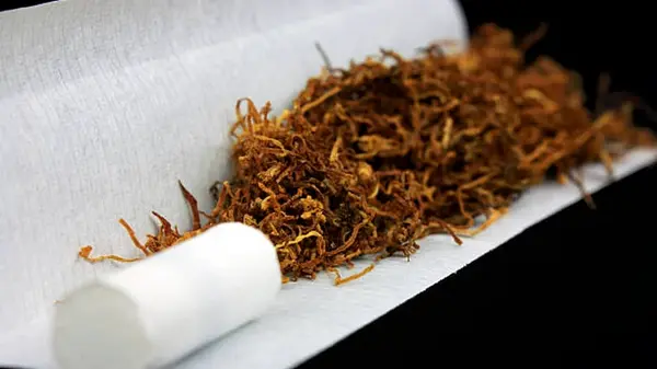 Легкий тютюн: особливості та найкращий вибір