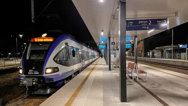 В Германии барсуки парализовали движение поездов: маршрут закрыли на шесть лет