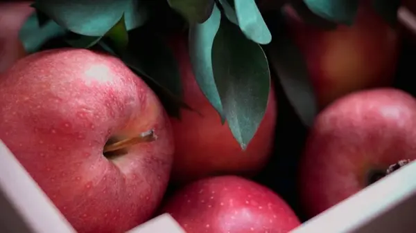 Все еще вдвое дороже, чем год назад: в Украине стремительно дешевеет популярный фрукт