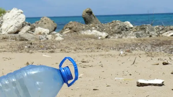 Ученые научили бактерии расщеплять пластик и изобрели материал для поглощения углерода