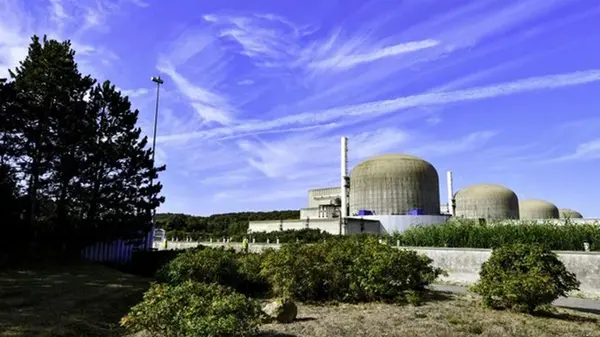 Рой медуз «уменьшил» производство электроэнергии на АЭС во Франции