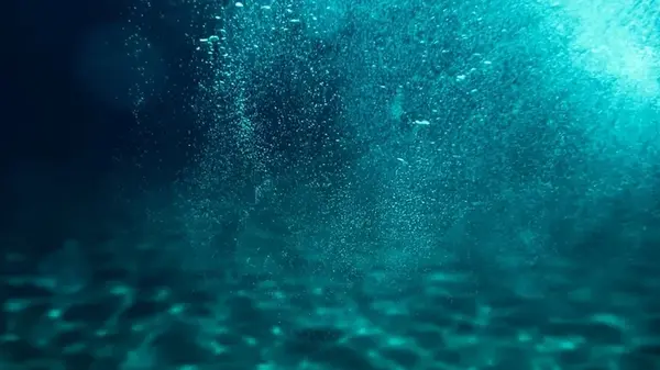 Симфония под толщей воды: что изменило звук Мирового океана за последние 200 лет