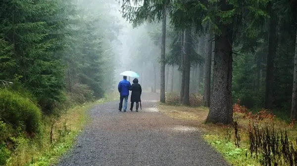 Синоптики озвучили прогноз погоды на выходные