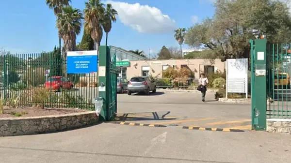 Во Франции в учебном заведении произошла резня