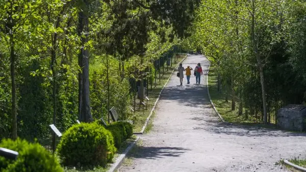 После похолодания и дождей в Украину снова придет тепло: когда ждать солнца
