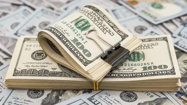 Сколько будут стоить 100 долларов в Украине: прогноз до 28 сентября