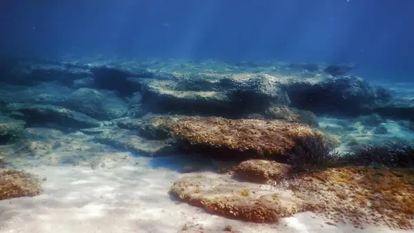 Ученым удалось разгадать давнюю тайну Тихого океана