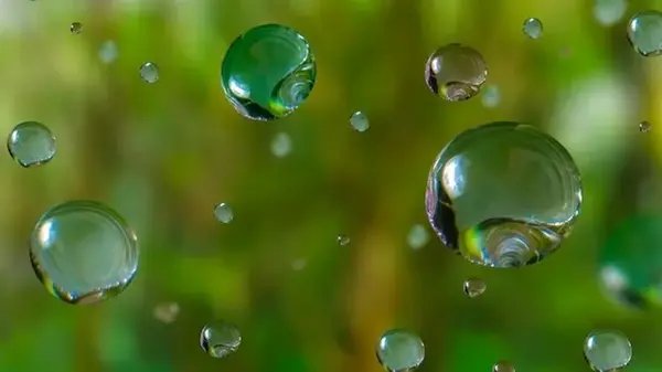 Почему у дождя есть свой запах, и как он связан с антибиотиками: ученые дали ответ