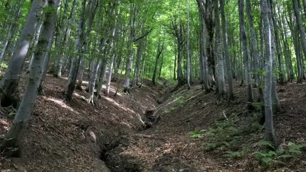 Во Львовской области произошло землетрясение: что известно