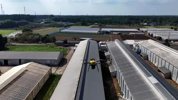 Японские фермеры начнут использовать лазерные дроны, чтобы защитить куриц от птиц