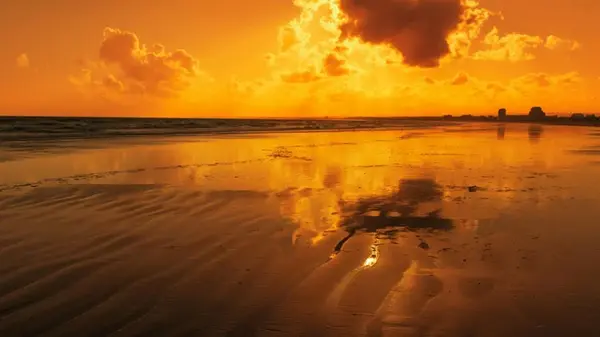 Жара меняет пищевые цепи океана и он перестает работать, как хранилище углерода, — ученые