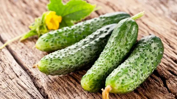 Цены на огурцы в Украине растут четвертую неделю подряд: сколько теперь стоит килограмм