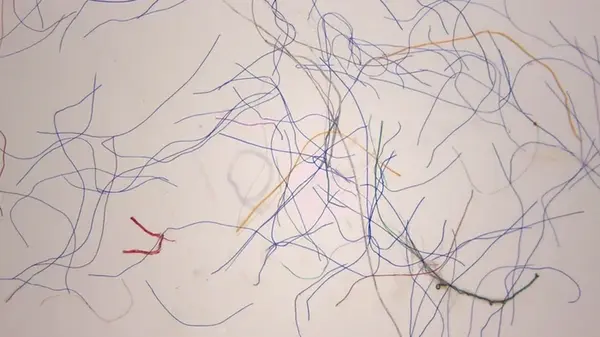 Найден крупный источник загрязнения микроволокнами: люди активно использую его