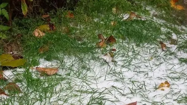 Под Киевом выпал первый снег —соцсети