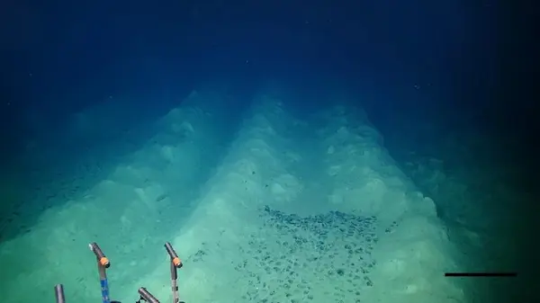 Более 40 лет со дна Тихого океана слышны загадочные сигналы: ученые нашли источник