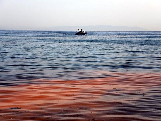 Мраморное море стало оранжевым: опубликованы фото