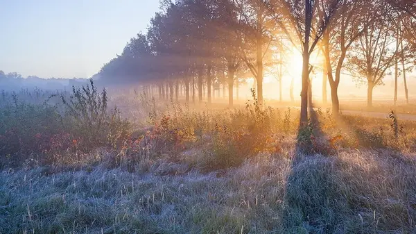 Дожди, ветер и даже снег: какая погода ждет украинцев 26 октября