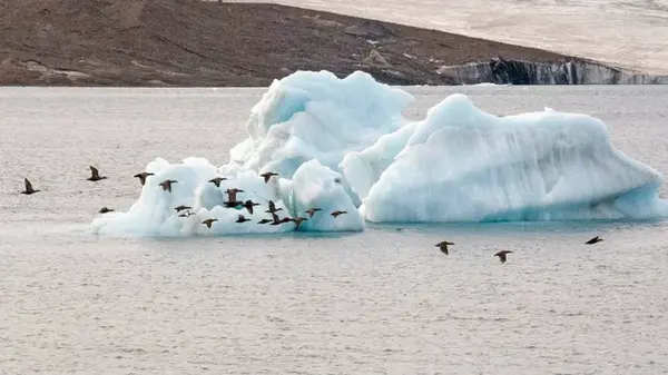 Землю ждет бурный рост морской жизни: его запустит то, что ранее считалось катастрофой