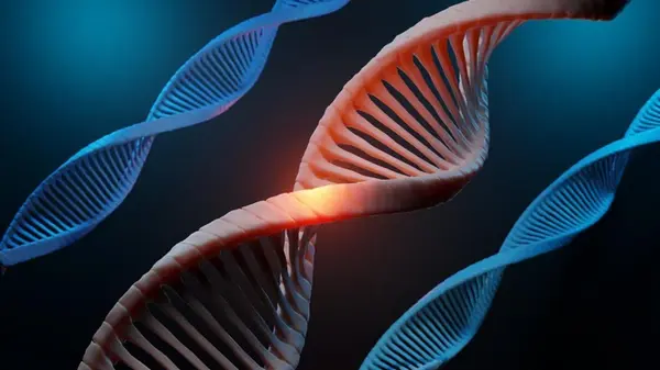 Ученые обнаружили скрытый «геометрический код», который помогает ДНК «запоминать»