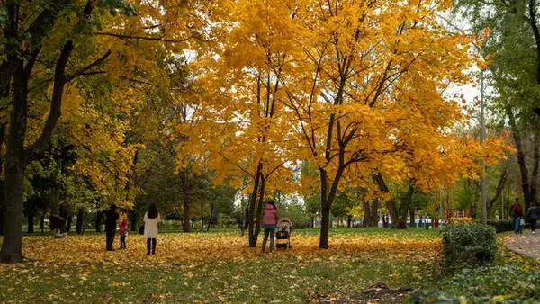 Тепло возвращается в Украину: где ожидать до +18 завтра