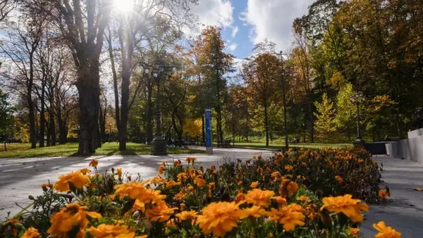 Ноябрь несет в Украину солнце: синоптик сказала, где на выходных будет теплее всего