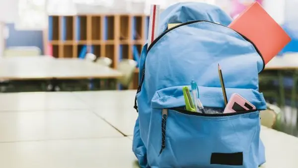 Осталось несколько часов: как онлайн подать заявление на «Пакет школьника»