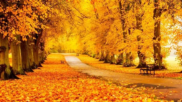 Завтра в Украине резко потеплеет: где температура может подняться до +20