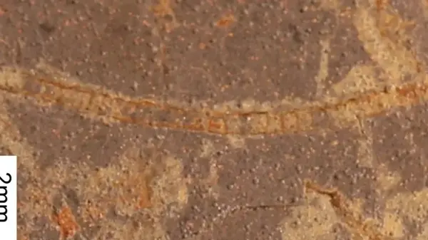 На миллиард лет старше прошлого рекордсмена: обнаружена древнейшая форма жизни на Земле