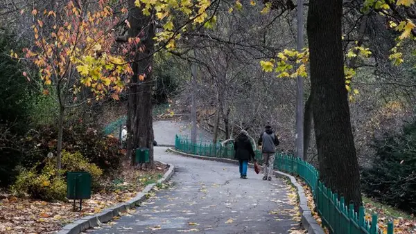 Зима приближается? Что будет с погодой в Украине завтра и когда возможно новое похолодание