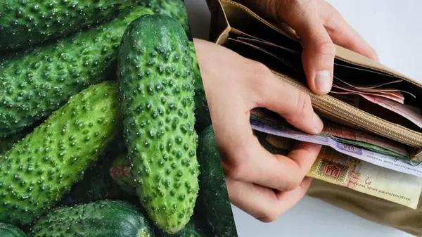 Цены на огурцы снова переписали: сколько теперь стоит килограмм овоща