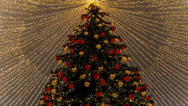 В Киеве начали устанавливать главную елку страны