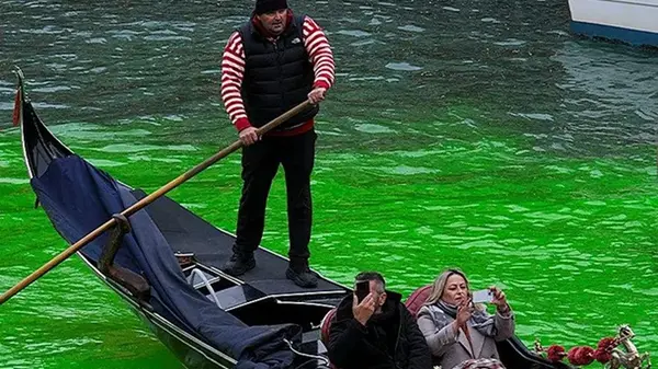 В Венеции осудили Грету Тунберг за акцию с окрашиванием воды