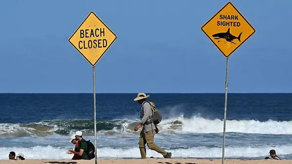 В США произошла стрельба на детском празднике: есть погибшие