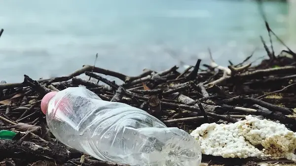 Пластик запрограммировали на четкий срок службы: он сможет распадаться всего за пару дней