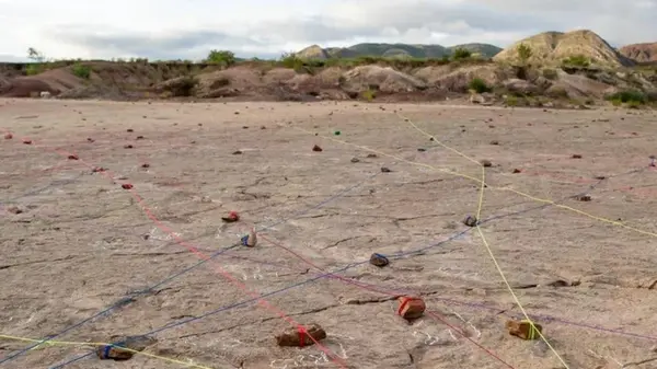 Новый рекорд: ученые обнаружили 18 000 следов динозавров вдоль древнего побережья