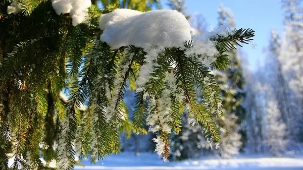 Погода в декабре: синоптик рассказал, когда в Украину придет снег с морозами