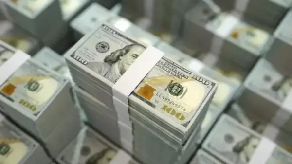 Сколько будут стоить 100 долларов в Украине: прогноз банкира до 21 декабря